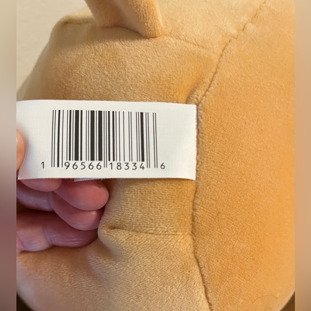 Original Squishmallows Pam the Pug 10” Valentine Plushie Cupid Angel Wings Plush - Picture 5 of 10